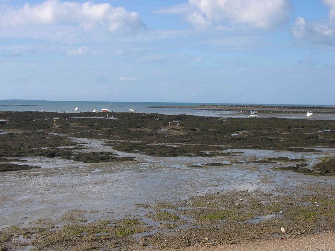 pêche